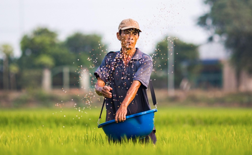 Sowing Seeds for Virtual Campuses. A Ministry&nbsp;Update.